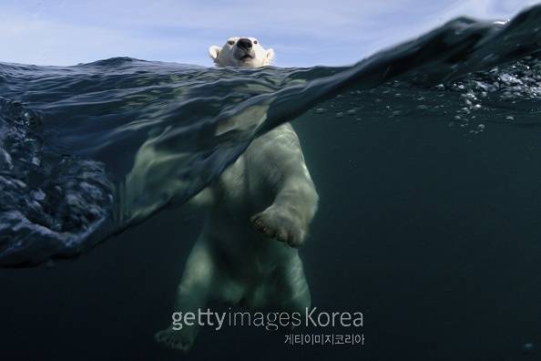 [사진=게티이미지]