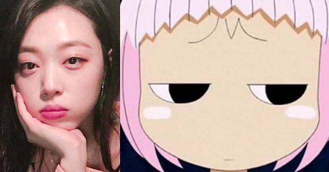 [사진 설리 인스타그램]