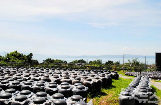 가고시마의 특산물인 흑초가 만들어지고 있다.(사진=재패니안 제공)