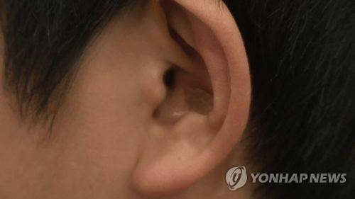 [연합뉴스TV 제공]