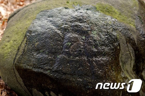 경북 포항시 남구 장기면 조항산에서 선사시대의 것으로 추정되는 암각화가 발견돼 학계의 관심을 모으고 있다. 이 암각화는 고문화를 연구하는 박종필(60)씨가 친구와 등산하던 중 발견했다./사진제공=박종필씨 2017.1.6/뉴스1 © News1 최창호 기자