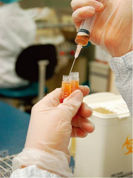 제대혈을 인체에 사용하려면 채취, 검사, 보관 등 전 과정이 위생적으로 이뤄져야 한다. [동아DB]