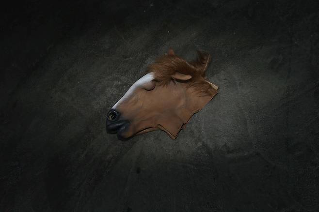 “없는 돈에 말 대가리 인형까지 사서, 저희가 덴마크대사관 앞에 왔습니다.” 12일 오전 서울 용산구 덴마크대사관 앞에서 말 인형을 뒤집어쓴 청년당 회원들이 정유라씨의 즉각 송환을 촉구하고 있었다. 말 대가리는 아무 죄가 없을 텐데, 내팽개쳐진 말 대가리를 보고 있으니 갈 곳 잃은 청춘들의 분노가 ‘툭' 터져 나온 것만 같았다.  박종식 기자 anaki@hani.co.kr