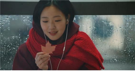 tvN 드라마 '도깨비'에서 김고은과 공유의 사랑의 매개체 역할을 하는 단풍잎. 물 건너 온 '캐나다종'이다. tvN 제공