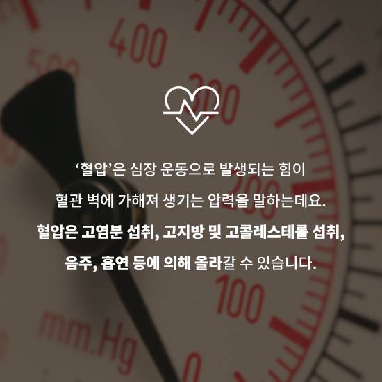 고혈압에 좋은 차