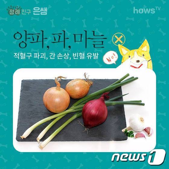 © News1