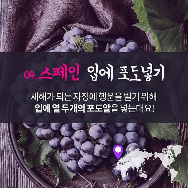 스페인 입에 포도 넣기