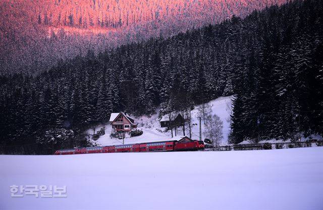 프라이부르크와 티티제 사이를 운행하는 열차가 전나무와 독일가문비나무가 빼곡한 흑림을 달리고 있다. 검은 숲 뒤로 눈이 쌓여 하얀 나무가 저녁 노을에 붉게 물들었다. 티티제(독일)=최흥수기자 choissoo@hankookilbo.com
