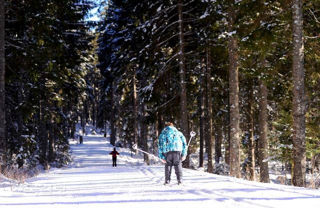 흑림 전체의 스키트랙은 약 700km에 달한다.