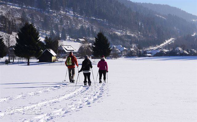 여름철 초지는 겨울철에 스노슈잉 놀이터로 바뀐다.