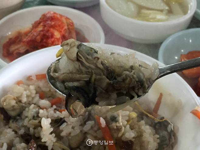 서해 갯굴은 크기가 자잘하지만 감칠맛이 강하다.