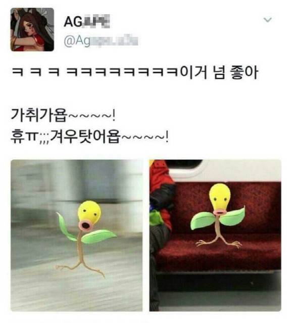 사진|트위터 갈무리