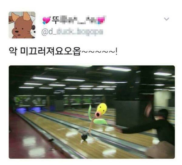 사진|트위터 갈무리