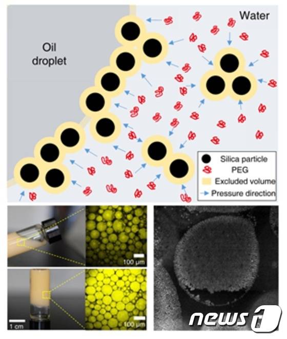 로이드 입자의 기름방울 표면으로의 흡착 증대와 탈착 저해를 보여주는 도식도 및 형성된 안정한 피커링 에멀젼 시스템© News1