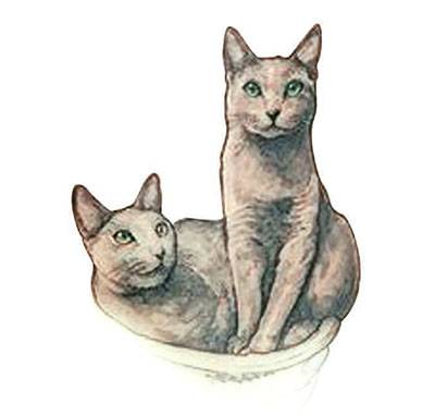 다수의 해외 팬을 보유한 ‘도이’의 타투.