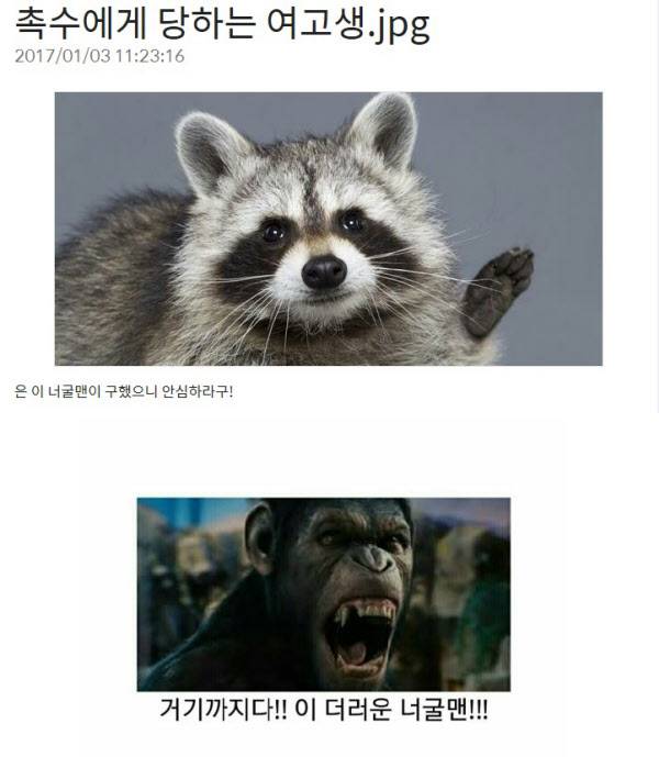 침팬빌런./인터넷 캡쳐