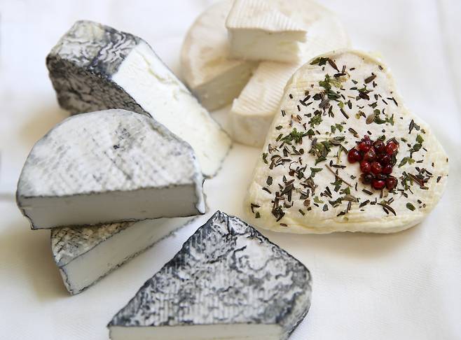 미국 최고 치즈장인인 김소영 대표가 만든 치즈들.