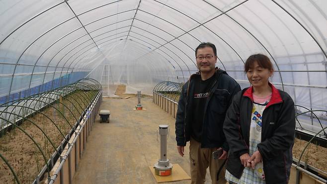 6일 오전 후쿠시마현 후쿠시마시의 아스파라거스 비닐하우스에서 만난 스기하라 요시유키(56·왼쪽), 게이코(54) 부부. 부부는 6년 전 터진 3·11 참사를 뛰어넘기 위해 아스파라거스 재배에 도전하고 있다. 그러나 문제는 여전히 ‘판로’다.