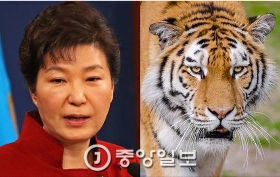 박근혜