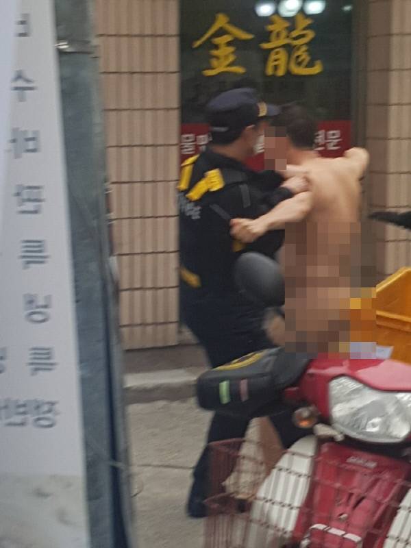 조선일보 제공