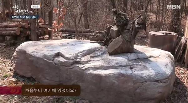 나는 자연인이다/사진=MBN