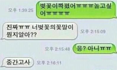 [사진 온라인 커뮤니티]