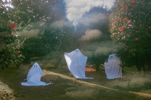 가수 잔나비의 ‘The Secret Of Hard Rock’ 가사 중 ‘꽃을 피우는 악의 무리들’이라는 표현에 감명을 받아 만든 작품