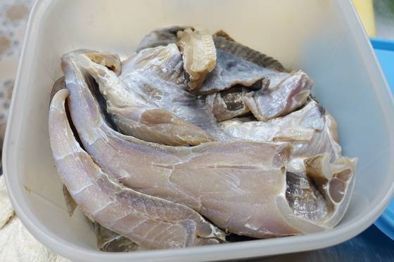 삭힌 홍어를 냉장고에서 꺼내 시간이 흐르면서 공기가 닿는 쪽은 분홍빛이 허옇게 바랜다.