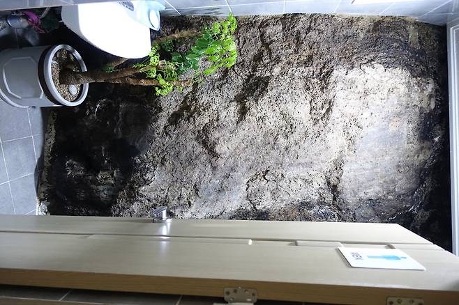 영란횟집의 남자 화장실 한쪽 벽은 바위다. 목포진 역사공원 암벽에 기대 건물을 지었기 때문이다. 바위에서 사람 얼굴이 보인다고 얘기하는 사람도 있다.