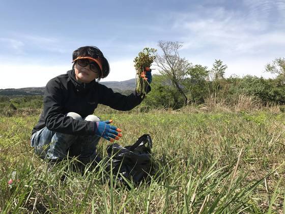 지난 27일 관광객 이모씨가 제주도 한라산에서 꺾은 고사리를 자랑하고 있다. 최충일 기자