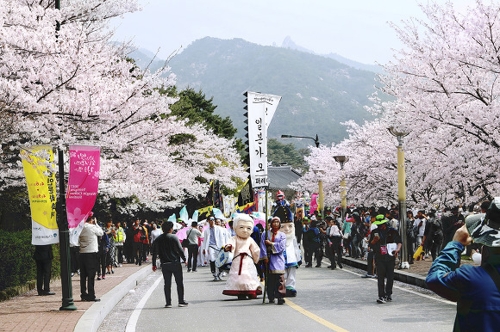 벚꽃이 만발한 가운데 '왕인 박사 일본 가오!' 퍼레이드가 펼쳐지고 있다. [사진/임귀주 기자]