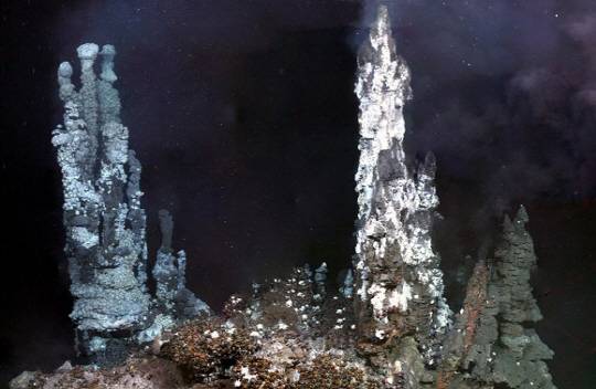 열수구에서 분출되는 바닷물의 온도는 보통 섭씨 300도 정도다 . 뜨거운 열수가 찬 바닷물과 섞이는 순간 마치 검은 연기를 내뿜는 것럼 보인다고 하며 ‘블랙 스모커’(black smoker)라고 부른다.