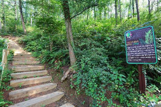 (사진=의왕시 제공)