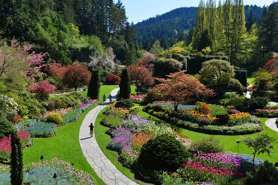 빅토리아 필수 방문 코스로 꼽히는 부처스 가든.