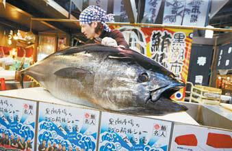 와카야마현 마리나 시티에 있는 구로시오 시장 상인이 참치 해체쇼를 선보이고 있다.