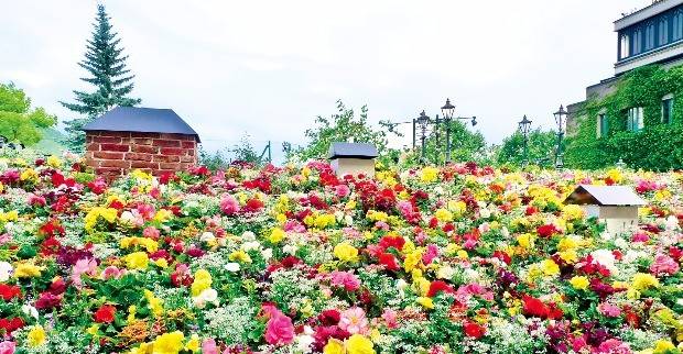 시로이코이비토 파크