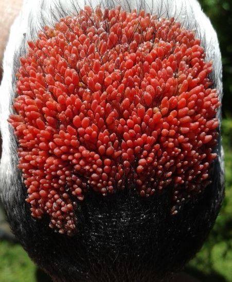 [사진 온라인 커뮤니티]