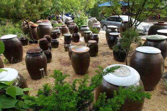 ‘오대산 내고향’ 앞마당에 있는 장독대. 5~6년 묵힌 과실(다래·돌배·산사)청이 들어간 된장·고추장이 10년 넘게 묵은 항아리가 많다.