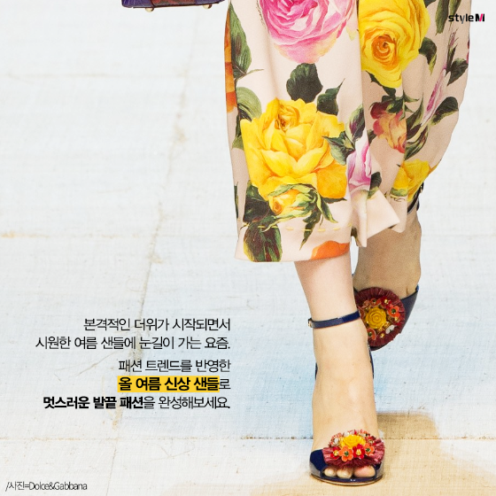 /사진=Dolce&Gabbana