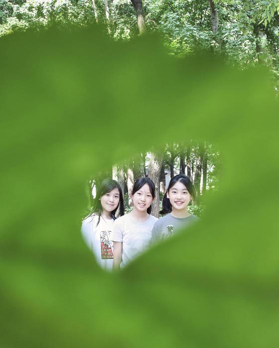 애벌레가 파먹은 구멍 사이로 사진을 찍으면 별 다른 효과 없이도 멋진 액자가 된다.