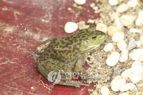 [연합뉴스 자료사진]