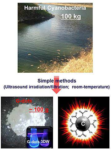 녹조의 원인인 남조류로부터 제조한 탄소나노입자의 광학사진과 발광 사진. 연구팀은 100㎏ 남조류에서 100g의 탄소나노입자를 생산했다. /사진제공=한국기초과학지원연구원
