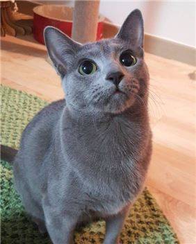 사진=핀터레스트