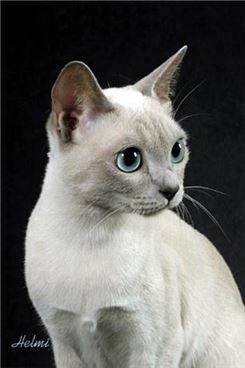 사진=핀터레스트