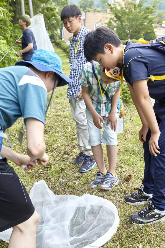 채집된 곤충을 살펴보는 학생기자단.