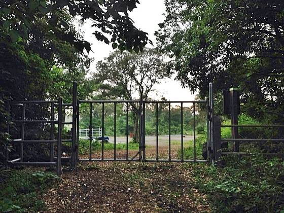 평소 출입이 제한되는 청수리 곶자왈 입구. 양보라 기자