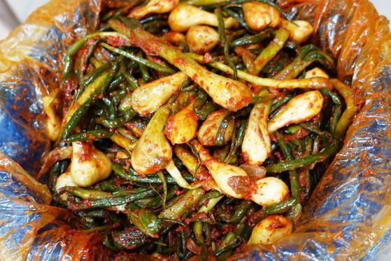 해마다 5월이면 100~150단씩 담그는 쪽파김치. 대가리가 큰 쪽파를 골라서 담근다. 냉장고에서 익히다가 내년 5월 새로 담글 때 개봉해 손님 상에 낸다. 여려 겹 비닐봉지 주둥이를 풀어 속을 보여주며 자랑했다.