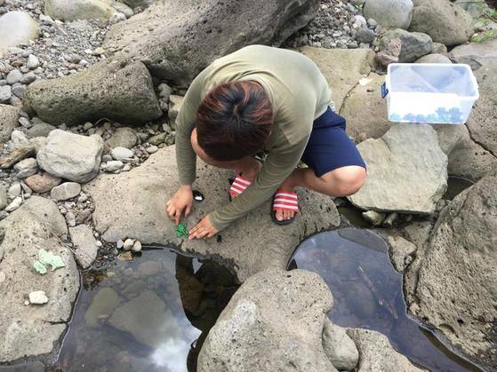곤충을 연구하는 배윤혁(23) 연구원은 삼선슬리퍼를 신고 전국을 돌아다닌다. [사진 배윤혁]
