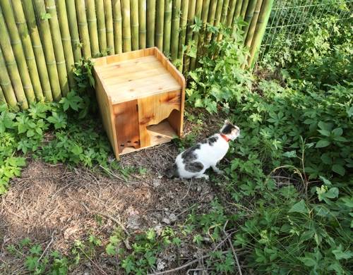 [서울대공원 제공]