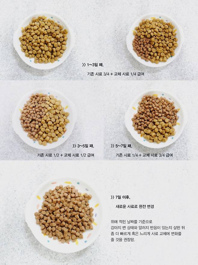 점례야 놀자!] 강아지 사료 교체 및 사료보관 방법